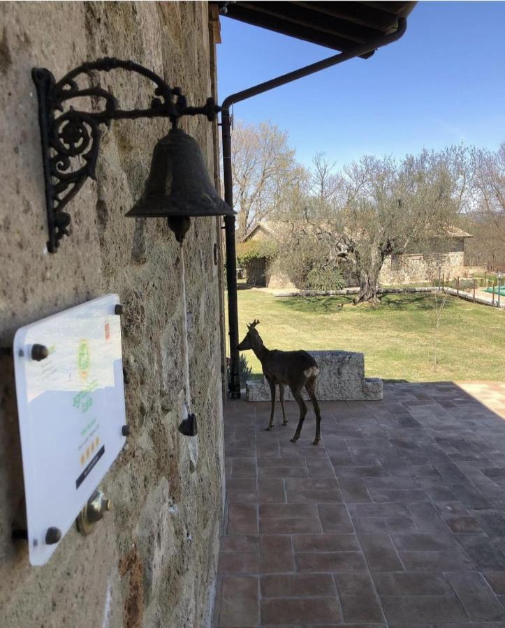Agriturismo Eco-Bio Villa Vacasio Pitigliano Zewnętrze zdjęcie