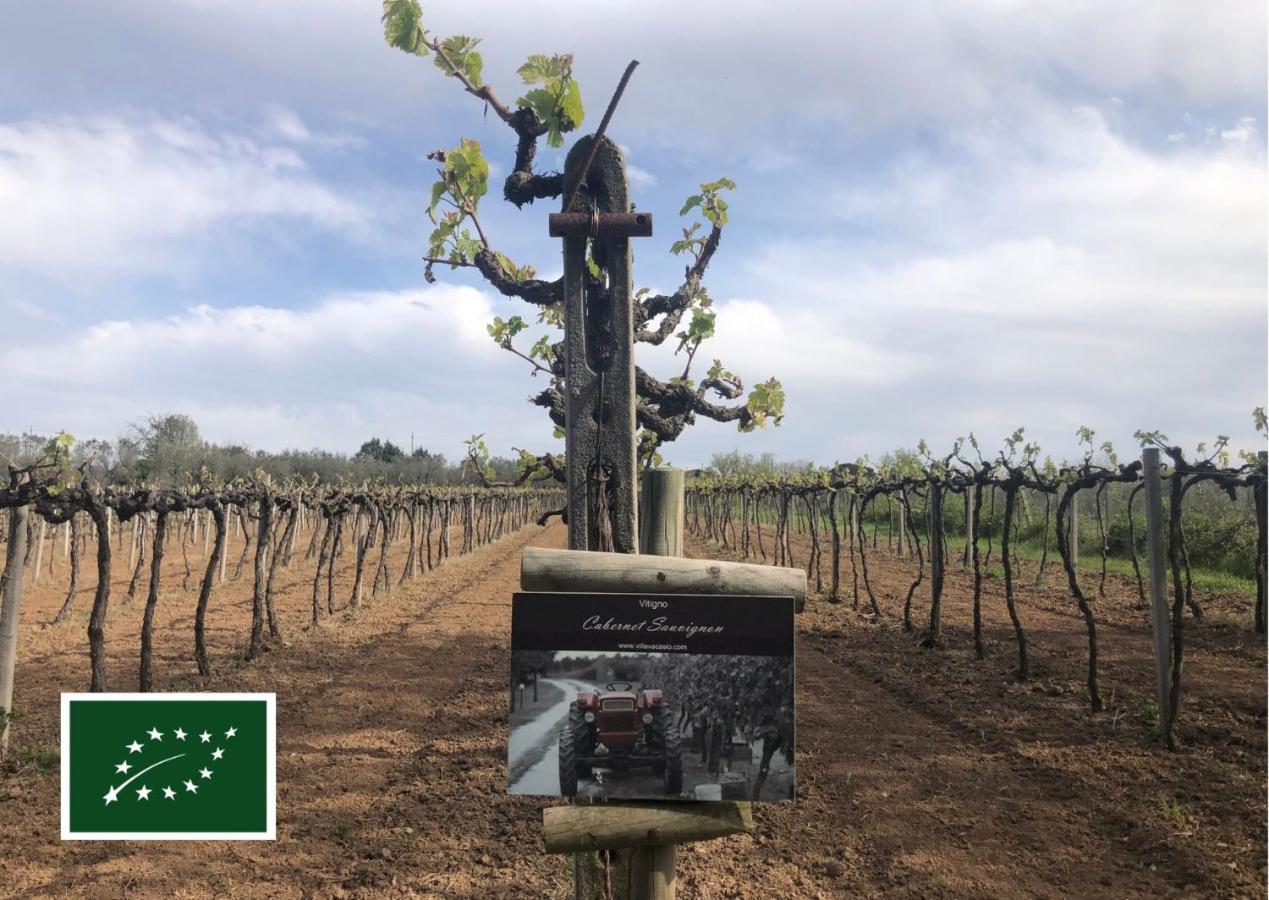 Agriturismo Eco-Bio Villa Vacasio Pitigliano Zewnętrze zdjęcie
