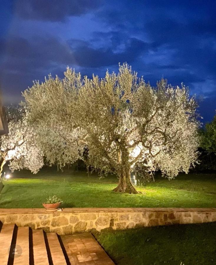 Agriturismo Eco-Bio Villa Vacasio Pitigliano Zewnętrze zdjęcie