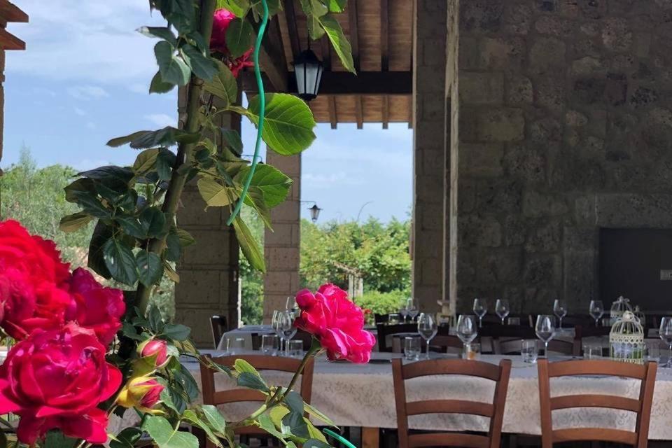 Agriturismo Eco-Bio Villa Vacasio Pitigliano Zewnętrze zdjęcie